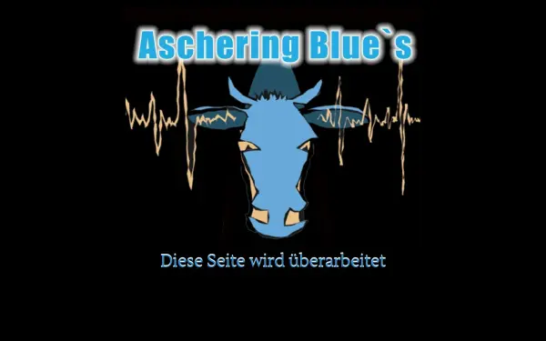 ascheringblues.de