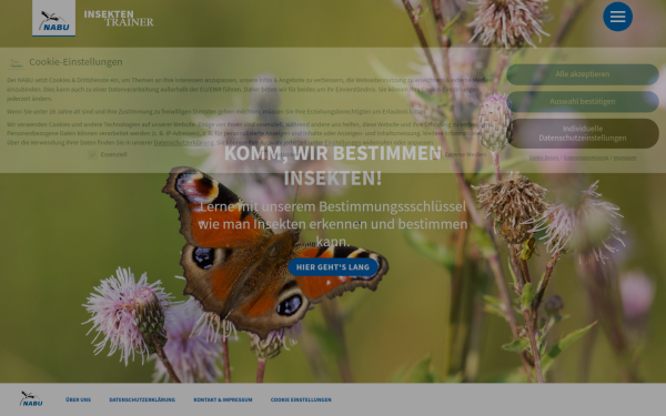insektentrainer.nabu.de