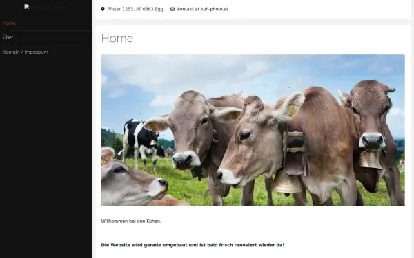 gnom-und-troll.de