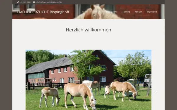 www.haflingerzuchtbispinghoff.de