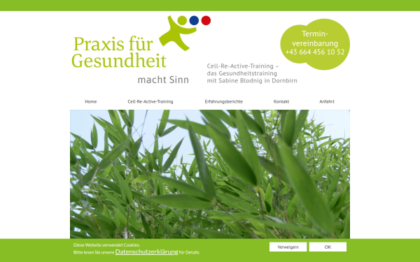 gesundheitmachtsinn.at