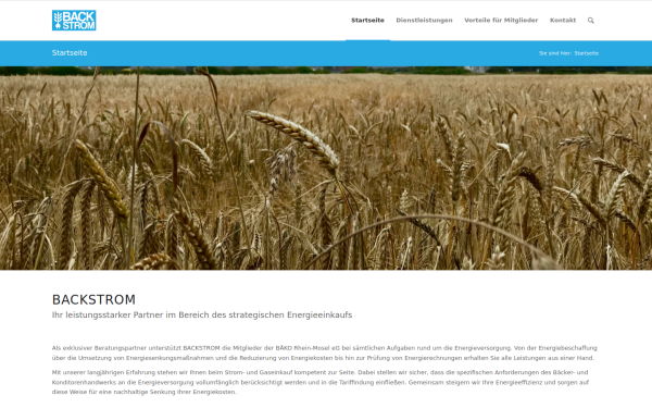 backstrom.de