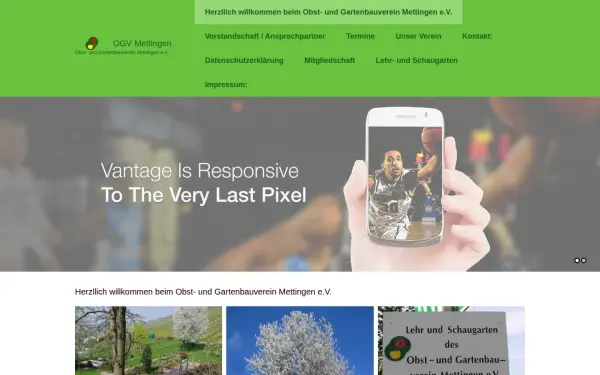 ogv-mettingen.de