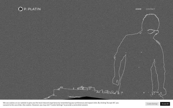 pplatin.de
