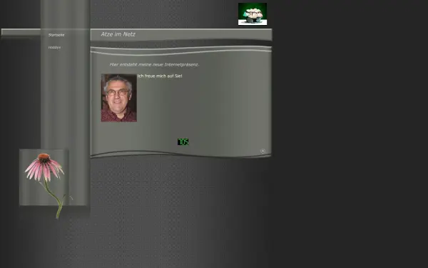 atze-online-im-web.de