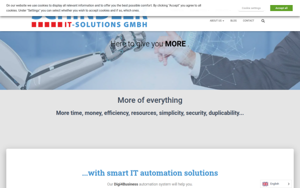 schindler-it.com