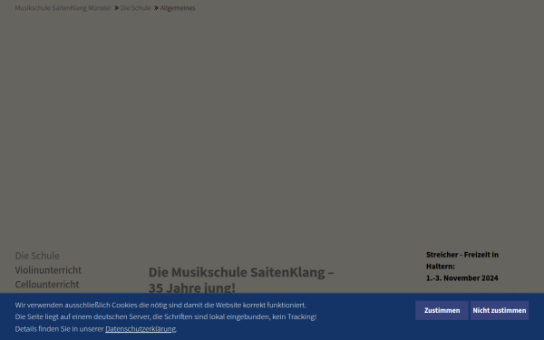 musikschule-saitenklang-muenster.de