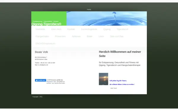 qigong-tigerobics.de