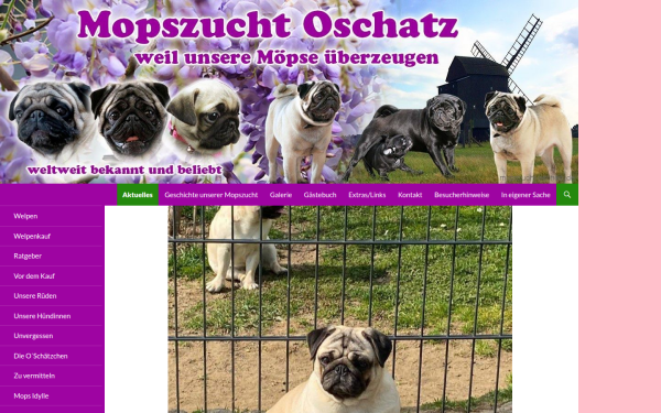 mopszucht-oschatz.de