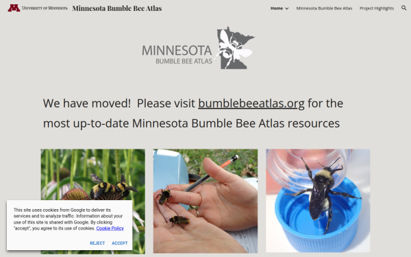 mnbumblebeeatlas.umn.edu