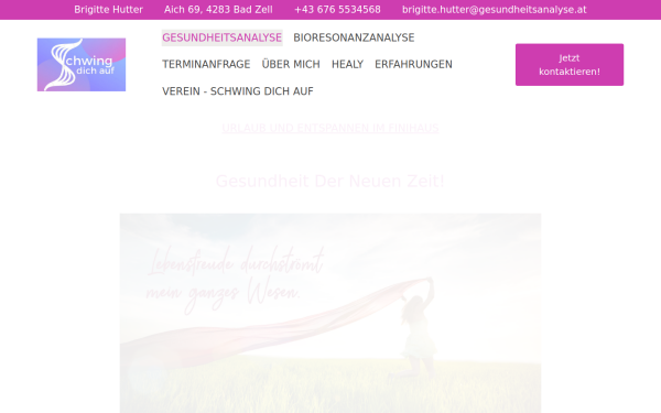 gesundheitsanalyse.at