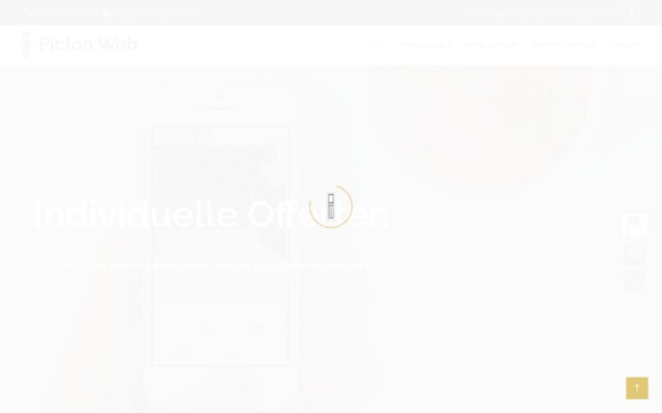 www.picton-web.com