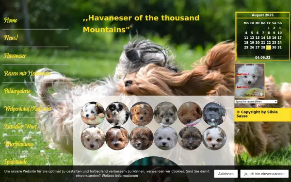 www.havaneser-sauerland.de
