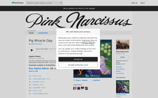 pinknarcissus.bandcamp.com