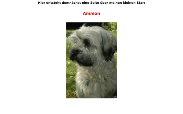 ammon-star.de