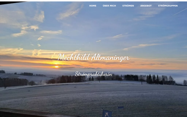 mechthild-altmaninger.at
