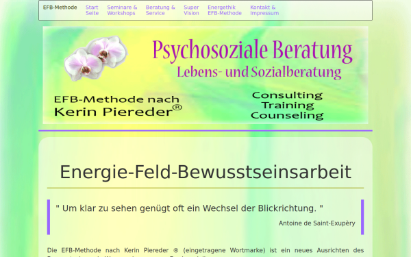 efb-methode.at