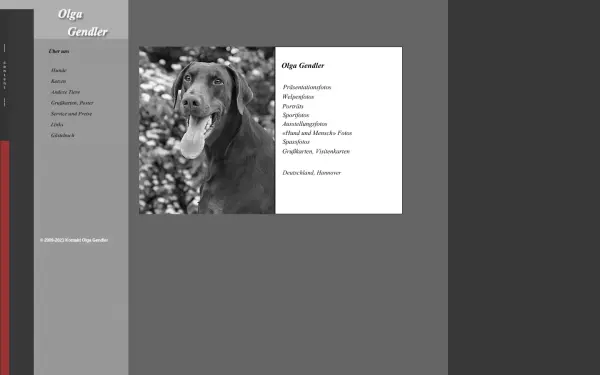 hunde-katzen-live.de