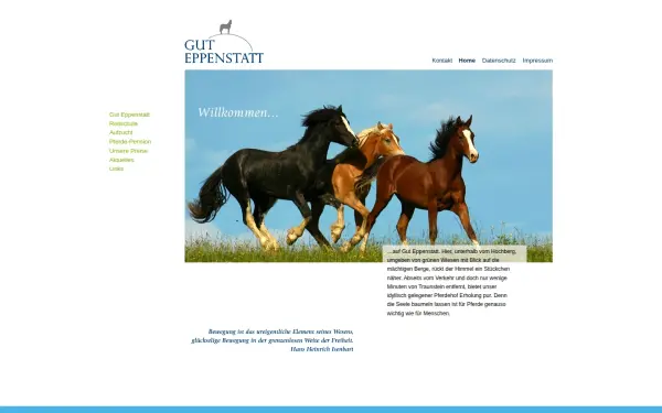 gut-eppenstatt.de