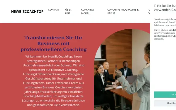 newbizcoachtop.com
