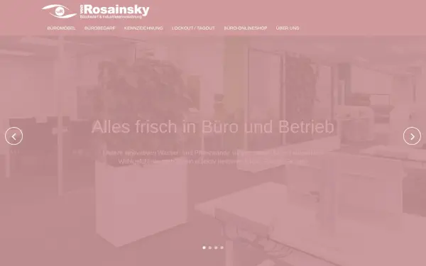 www.rosainsky.de