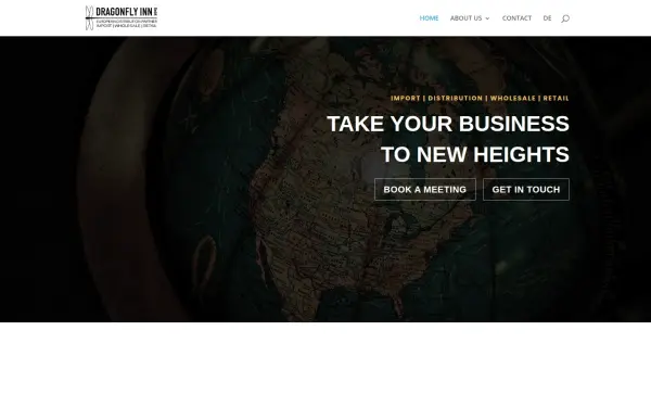 dfi-international.com