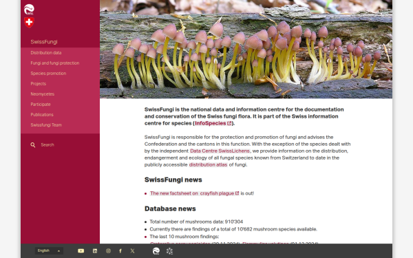 swissfungi.wsl.ch