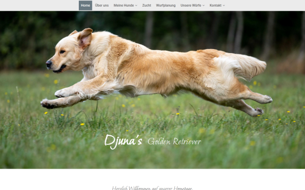 djunas.de