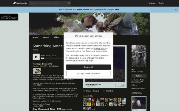 wyareyoucrying.bandcamp.com
