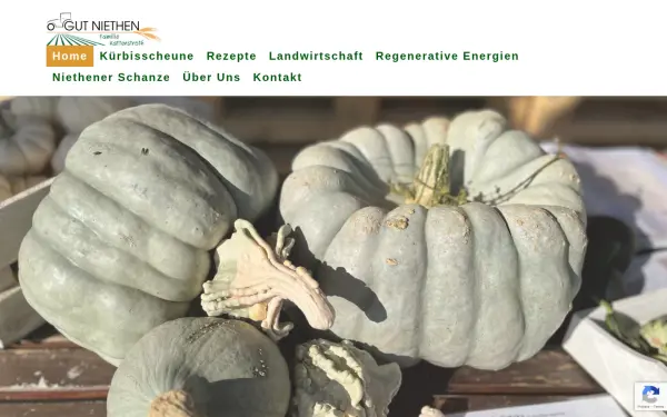 gut-niethen.de