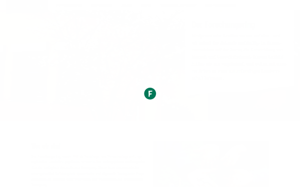 www.forschungsring.de
