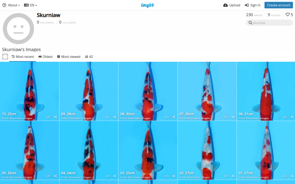 skurniaw.imgbb.com