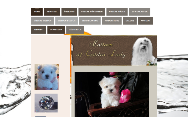 www.malteser-ofgoldenlady.de