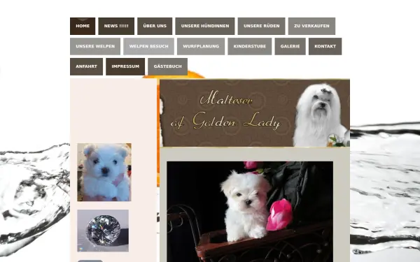www.malteser-ofgoldenlady.de