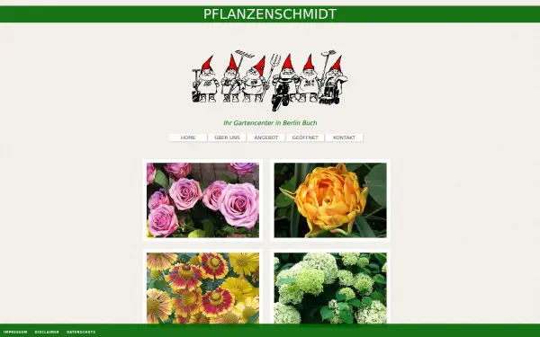 auktionsblumen.de