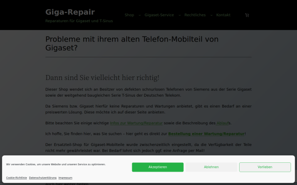 giga-repair.de