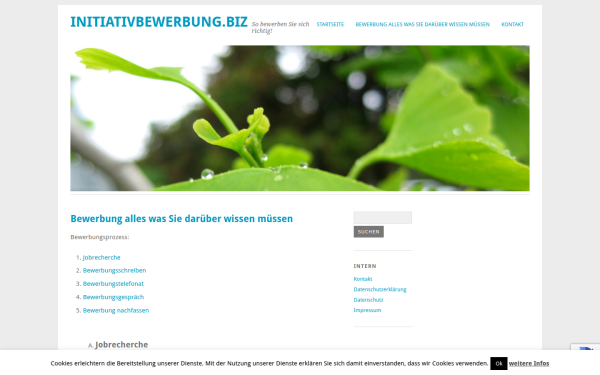 initiativbewerbung.biz