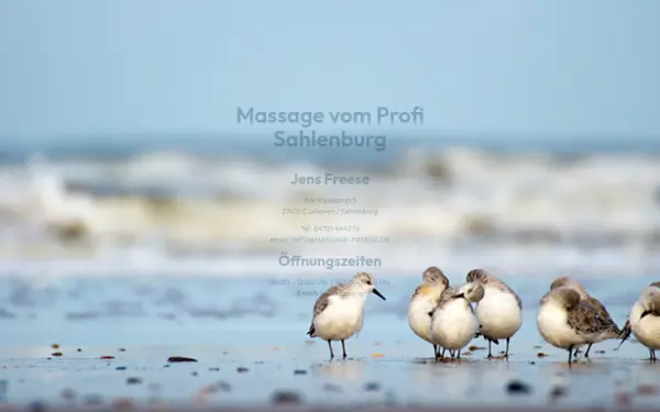 massage-freese.de