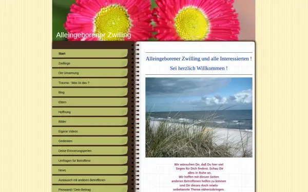 www.alleingeborener-zwilling.de