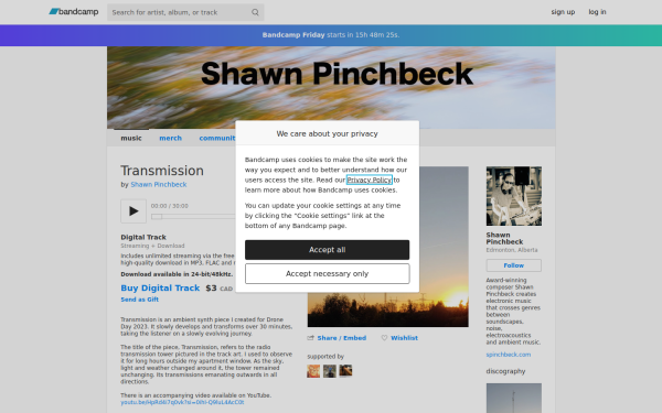 shawnpinchbeck.bandcamp.com