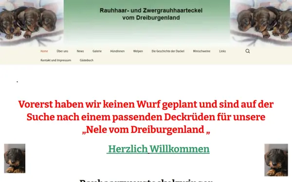 dreiburgenland-dackel.de