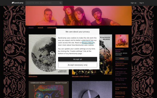 kamikazenurse.bandcamp.com