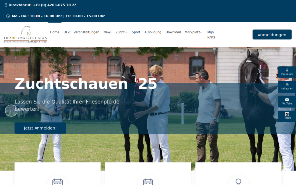 mein-dfz.de