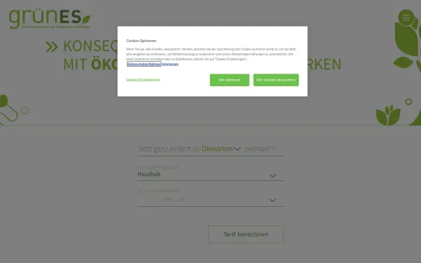 www.gruen-es.de