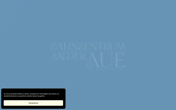 anderaue.de
