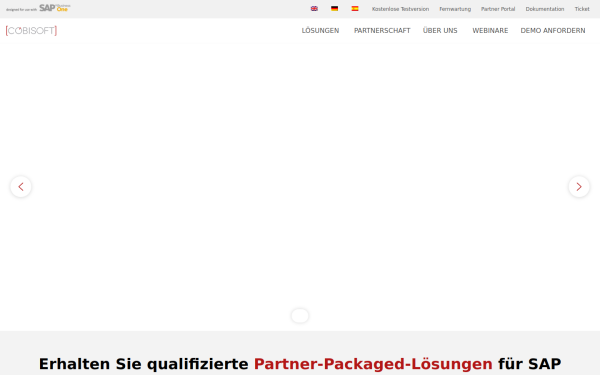 cobisoft.de