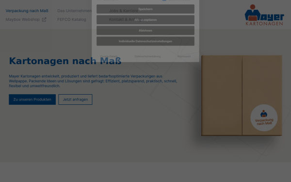 mayer-kartonagen.de