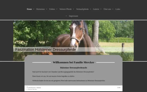www.dressurholsteiner.de