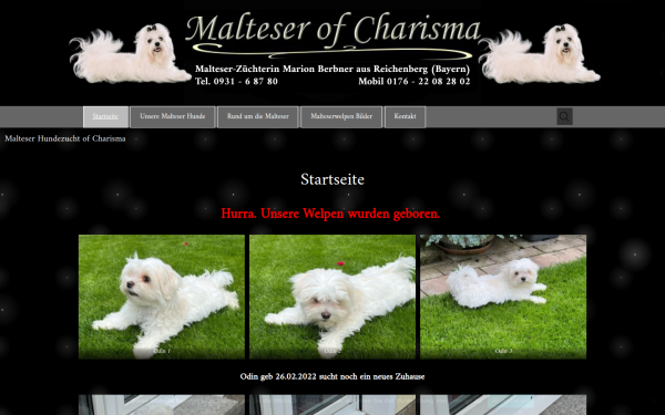 www.malteser-hundezucht.de