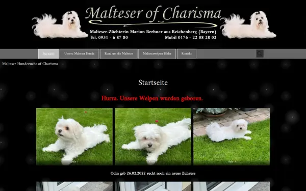 www.malteser-hundezucht.de